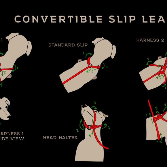 5' Biothane Convertible Slip Dog Leash No Pull Harness or Head Halter 1/2" wide - Picture 2 of 8